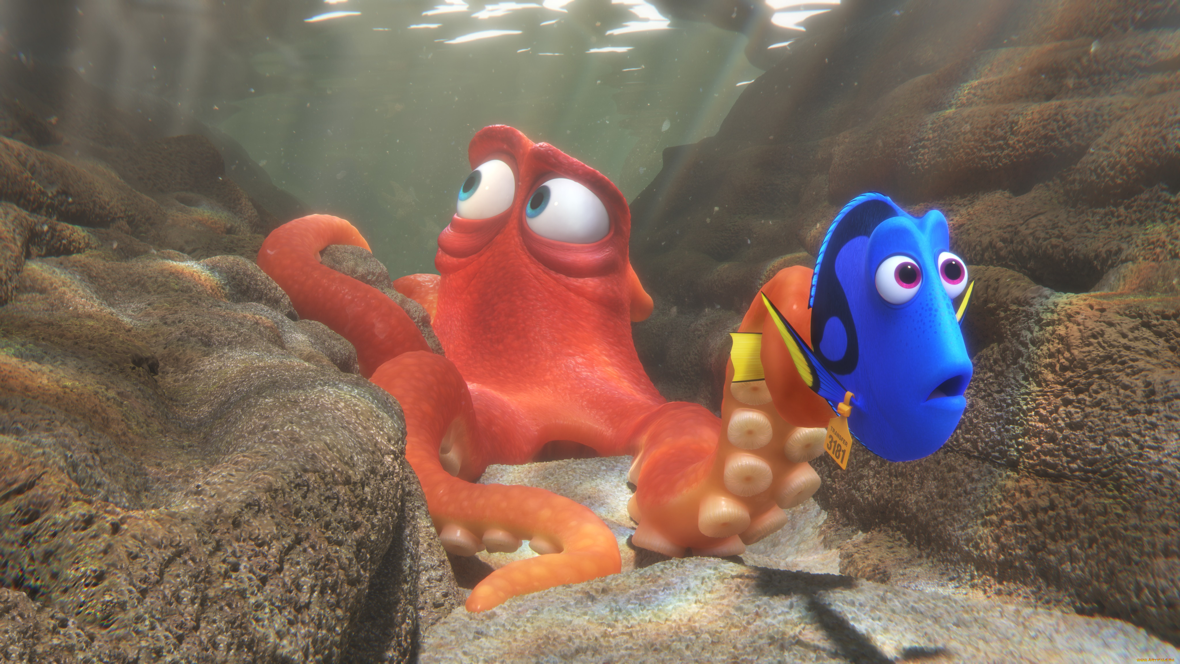 , finding dory, 